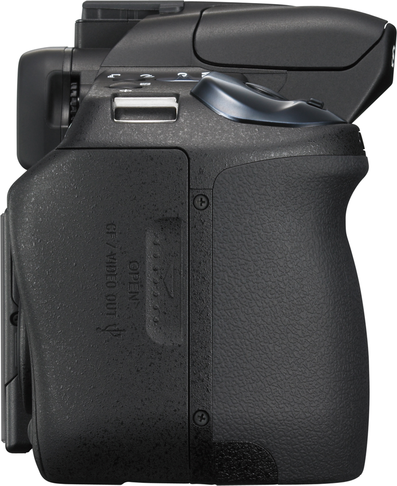 Illustration for article titled Sony A300 and A350 DSLRs Have Two-Way Tilting Live View